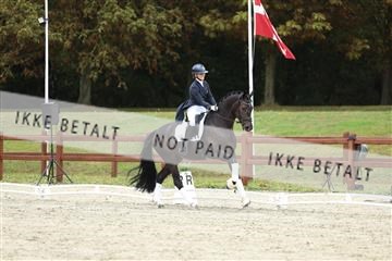 181923_mtp_03_R62_7996.JPG