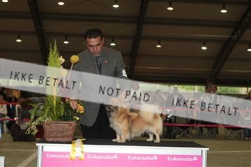 126168_tl_02_IMG_0239.JPG