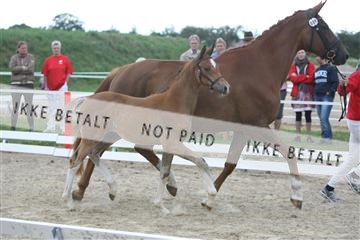 125406_sc_01_IMG_2468.jpg