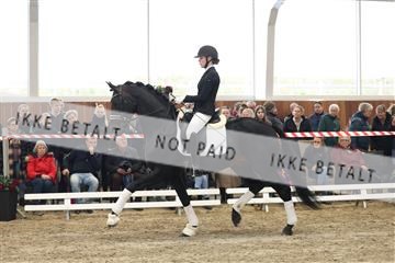 174363_kbb_01_R6II8171.JPG