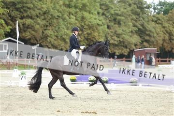 181923_mtp_04_R62_8928.JPG