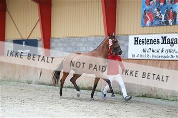 181868_mtp_02_R62_5479.JPG