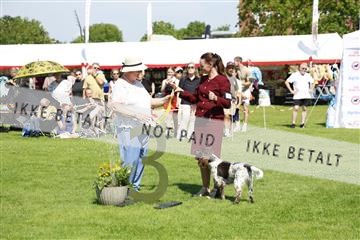181564_kar_01__62_7875.JPG