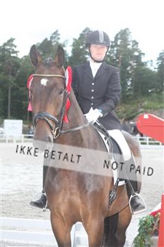 5365_sme _03_IMG_9705.JPG