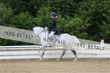 156196_nn_01_IMG_6129.JPG