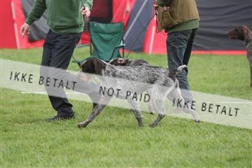 134871_ms_04_IMG_9917.JPG