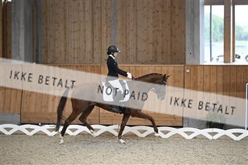 182176_kbb_01_Z093042.JPG