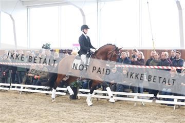 174363_kbb_01_R6II8062.JPG