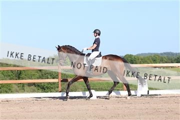181449_bc_01R62_6222.JPG