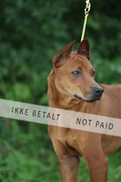 130370_se_01_IMG_5108.JPG