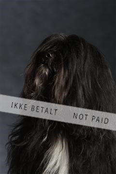 132082_le_ 01_IMG_1538.JPG