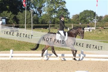 148862_sg_01_IMG_2425.JPG