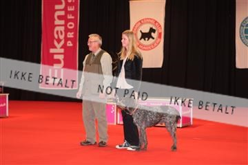 126827_tl_04_IMG_9783.JPG