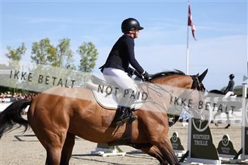 181436_avh_02_3597.JPG