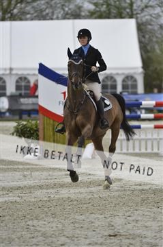 139644_abo_03__AB15076.JPG