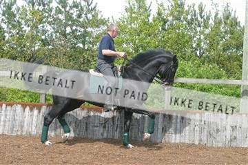 100-0030_IMG.JPG