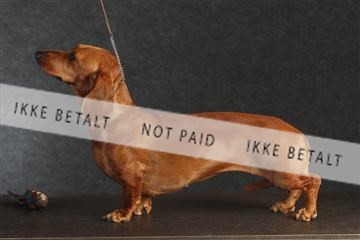 132082_le_ 01_IMG_0300.JPG