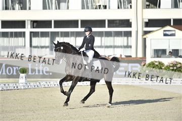 169586_kuo_05__D4S1324.JPG