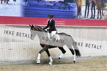 182241_kbb_01_Z094612.JPG