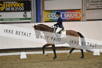 140040_abo_02__AB19214.JPG