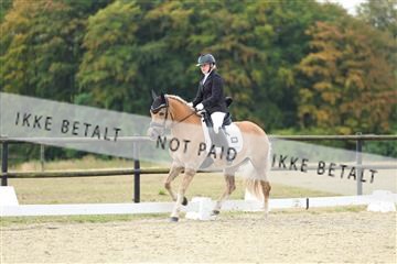 181894_mtp_04_R62_3722.JPG