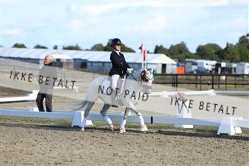 181894_mtp_05_R62_5548.JPG