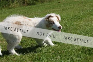 130370_se_03_IMG_6816.JPG