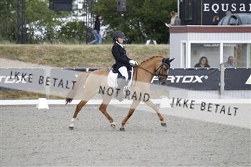 166078_rhj_01__J7R2188.JPG