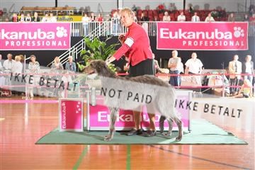 6068_ma_05_IMG_5719.JPG