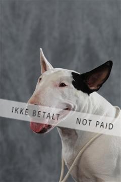 128239_le_kort_ 01_0258.JPG