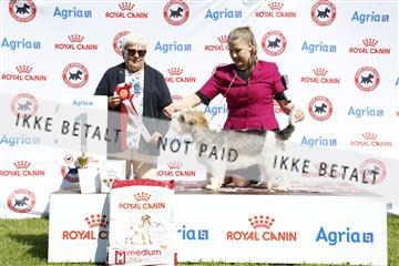 181564_ch_01__62_9469.JPG