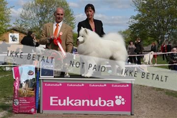 134871_ms_04_IMG_0854.JPG