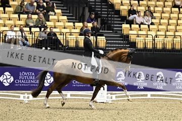 182194_kbb_03_Z090233.JPG