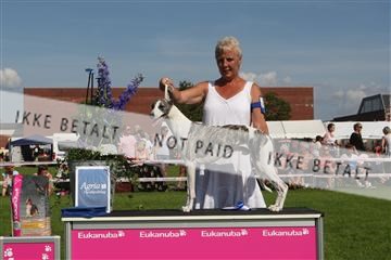 130370_se_03_IMG_7808.JPG