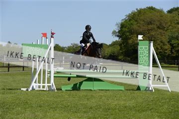 139815_ms_01__MS27386.JPG