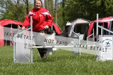 134871_ms_02_IMG_2891.JPG
