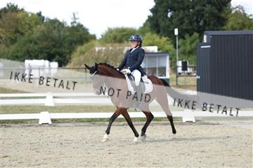 181894_mtp_05_R62_4752.JPG