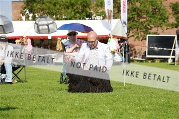 181564_kar_01__62_7379.JPG