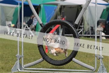 124188 _tl_02_IMG_9479.JPG