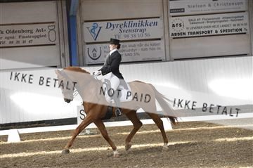 139422_bc_05__BC26302.JPG