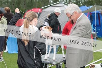 135379_tl_02_IMG_9265.JPG