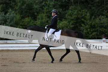 156196_nn_01_IMG_5915.JPG