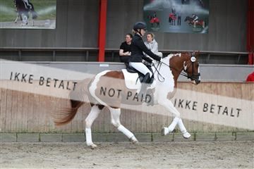 181867_mtp_01_R62_3964.JPG