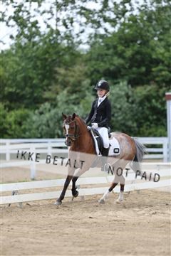 156196_nn_01_IMG_6067.JPG