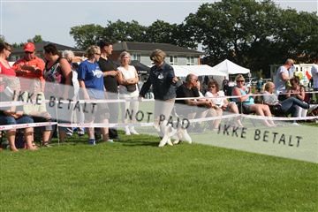 130370_se_02_IMG_6591.JPG