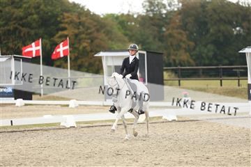 181894_mtp_03_R62_2467.JPG
