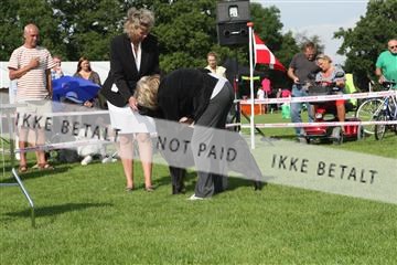 130370_se_02_IMG_6653.JPG
