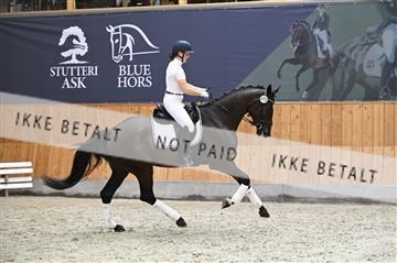 181595_kbb_01_Z097657.JPG