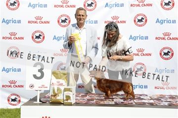 181564_kar_01__62_7139.JPG