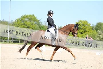 168732_mtp_01_3M5A8199.JPG